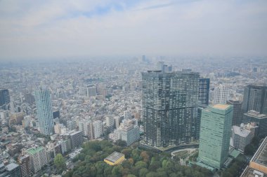 Tokyo şehir silueti çatısı manzarası, Japonya. 3 Kasım 2013