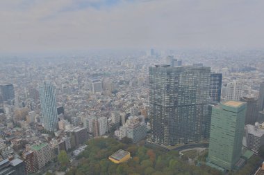 Tokyo şehir silueti çatısı manzarası, Japonya. 3 Kasım 2013