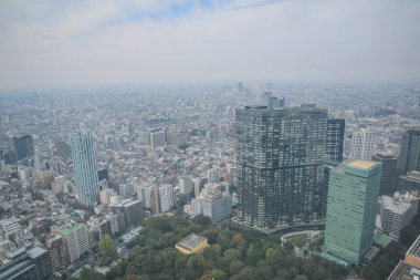 Tokyo şehir silueti çatısı manzarası, Japonya. 3 Kasım 2013