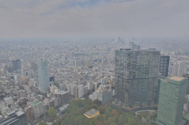 Tokyo şehir silueti çatısı manzarası, Japonya. 3 Kasım 2013