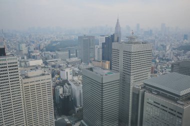 Shinjuku, şehrin birçok kentsel bölgesinden biri. 3 Kasım 2013