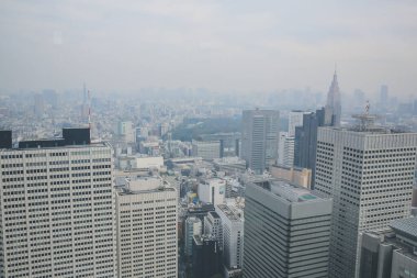 Tokyo şehir silueti çatısı manzarası, Japonya. 3 Kasım 2013