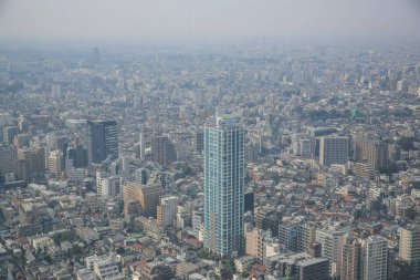 Tokyo şehir silueti çatısı manzarası, Japonya. 3 Kasım 2013