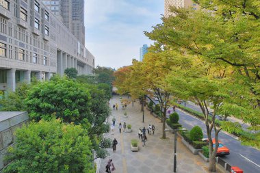 Shinjuku Tokyo 'daki genel sokak manzarası, 3 Kasım 2013