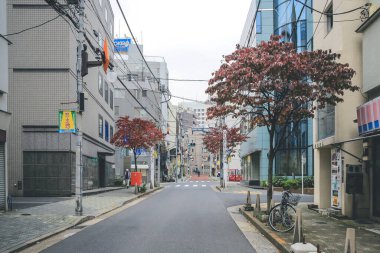 Azabujuban Tokyo 'nun sokak manzarası, 3 Kasım 2013