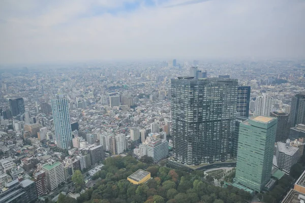 Tokyo Şehir Silueti Çatısı Manzarası Japonya Kasım 2013 — Stok fotoğraf