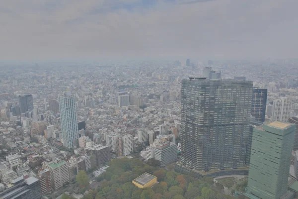 Tokijské Městské Panorama Výhled Střechu Japonsko Listopadu 2013 — Stock fotografie