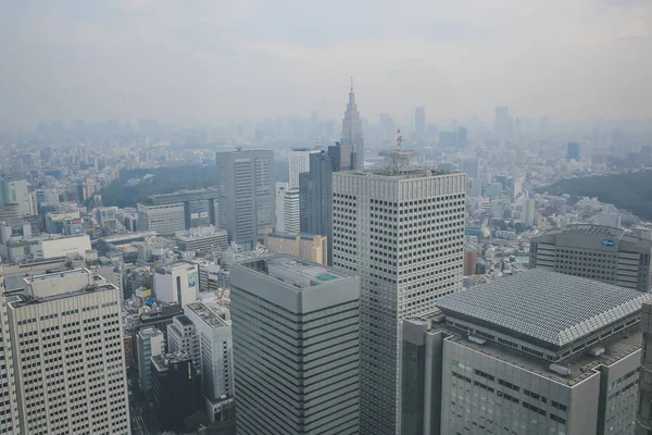 Tokyo Şehir Silueti Çatısı Manzarası Japonya Kasım 2013 — Stok fotoğraf