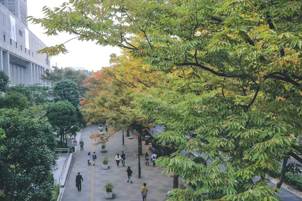 Vista Genérica Rua Shinjuku Tokyo Japão Nov 2013 — Fotografia de Stock