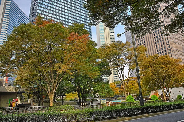 日本东京新宿街道概览2013年11月3日 — 图库照片