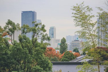 Tokyo 'daki lokasyon, Shinkoin Japonya Tapınağı 3 Kasım 2013