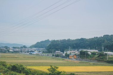 Shinkansen Mermi Tren Hattı 3 Kasım 2013