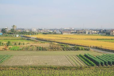 Shinkansen Mermi Tren Hattı 3 Kasım 2013