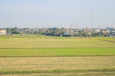 Shinkansen 'in hızlı tren hattının manzarası.