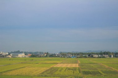 Shinkansen Mermi Tren Hattı 3 Kasım 2013