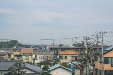 Shinkansen Mermi Tren Hattı 3 Kasım 2013