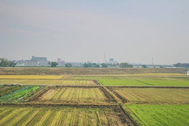 Shinkansen Mermi Tren Hattı 3 Kasım 2013