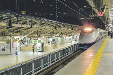 Tokyo demiryolunda bir Shinkansen hızlı treni. 3 Kasım 2013