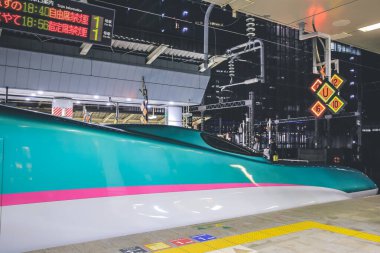 Tokyo demiryolunda bir Shinkansen hızlı treni. 3 Kasım 2013