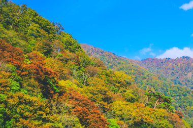 Kanazawa kırsalının manzarası, Japonya 1 Kasım 2013