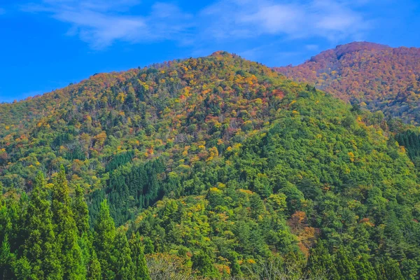 Die Landschaft Der Landschaft Von Kanazawa Japan Nov 2013 — Stockfoto