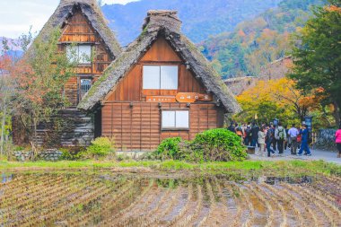 1 Kasım 2013, Gifu Bölgesi, Shirakawa, Ainokura köyü manzaralı evler