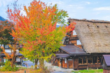 1 Kasım 2013, Gifu Bölgesi, Shirakawa, Ainokura köyü manzaralı evler