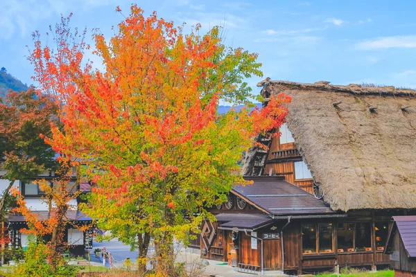 Gifu Prefecture Houses Ogimachi Village Shirakawago Nov 2013 — Stock Photo, Image