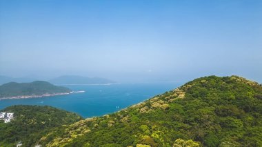 16 Nisan 2023 'te Hong Kong' da Crateva Tepesi Unilocularis çiçek açtı.