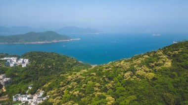 16 Nisan 2023 'te Hong Kong' da Crateva Tepesi Unilocularis çiçek açtı.