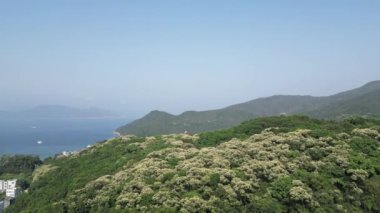 Clear Water Bay Road, Hong Kong 'da Crateva Unilocularis çiçeğinin havadan görünüşü.