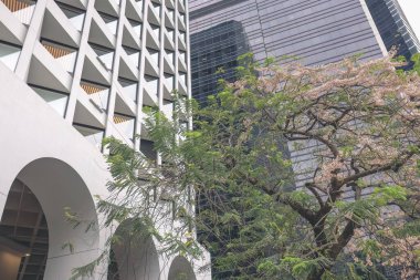 26 Nisan 2023 'te Hong Kong' da Murray Otel 'in dış binası.