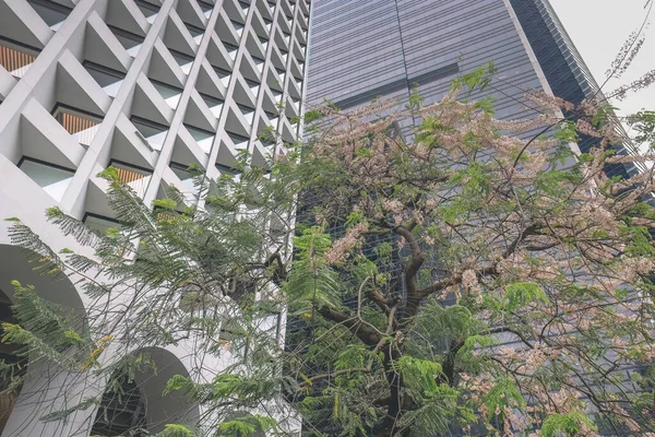Byggnad Utanför Murray Hotel Hongkong April 2023 — Stockfoto