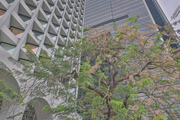 Building Exterior of Murray Hotel in Hong Kong April 26 2023