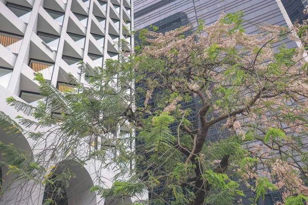 Κτίριο Εξωτερικό Του Ξενοδοχείου Murray Στο Χονγκ Κονγκ Απριλίου 2023 — Φωτογραφία Αρχείου