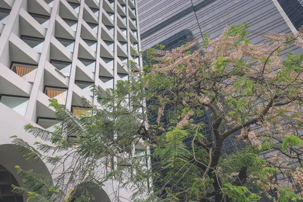 Building Exterior Murray Hotel Hong Kong Квітня 2023 — стокове фото