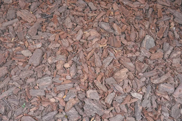 Shredded Pine Bark Mulch Covering Soil Garden Avoid Noxious Plants — Stock Photo, Image