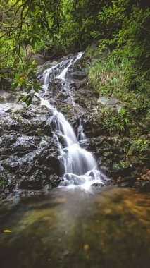 Siu Chik Sha 'da güzel bir şelale, T.K.