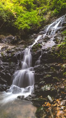 Siu Chik Sha 'da güzel bir şelale, T.K.