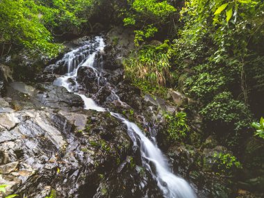 Siu Chik Sha 'da güzel bir şelale, T.K.