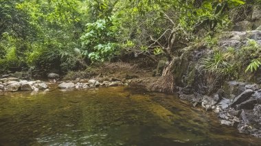 Siu Chik Sha 'daki güzel nehir, T.K.