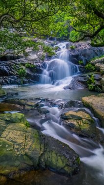 Lin Yuen Terrace Şelalesi, Hong Kong