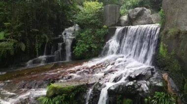 Küçük Hawaii Şelalesi, TK Hong Kong