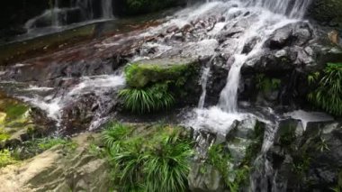 Küçük Hawaii Şelalesi, TK Hong Kong