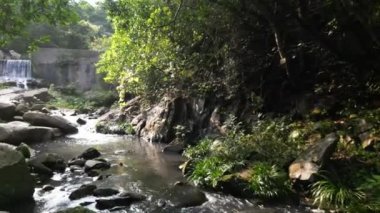 Küçük Hawaii Şelalesi, TK Hong Kong