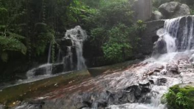 Küçük Hawaii Şelalesi, TK Hong Kong