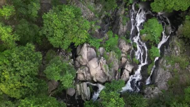 Маленький Гавайский Водопад Терраса Линь Юэнь — стоковое видео