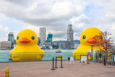 Tuhaf Cazibe ve Denizcilik Eğlencesi, Hong Kong 'da dev Rubber Duck, 9 Haziran 2023