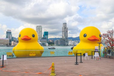 Tuhaf Cazibe ve Denizcilik Eğlencesi, Hong Kong 'da dev Rubber Duck, 9 Haziran 2023