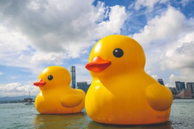 Hong Kong 'da dev Rubber Duck, Kowloon' un arka planı, 9 Haziran 2023